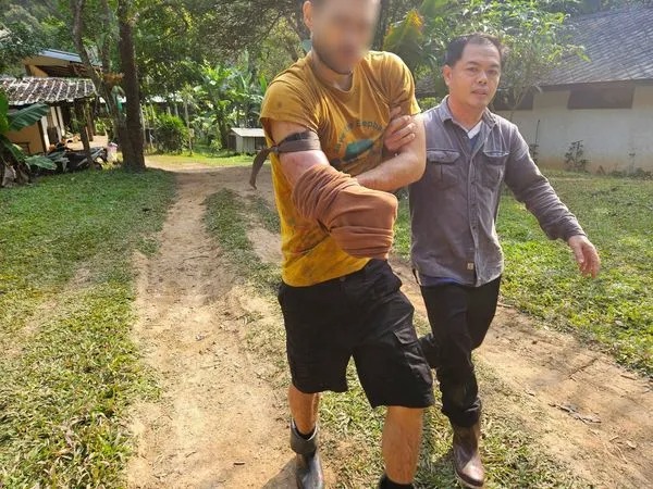 في تايلند... قطع يده كي لا يؤذي الدب!